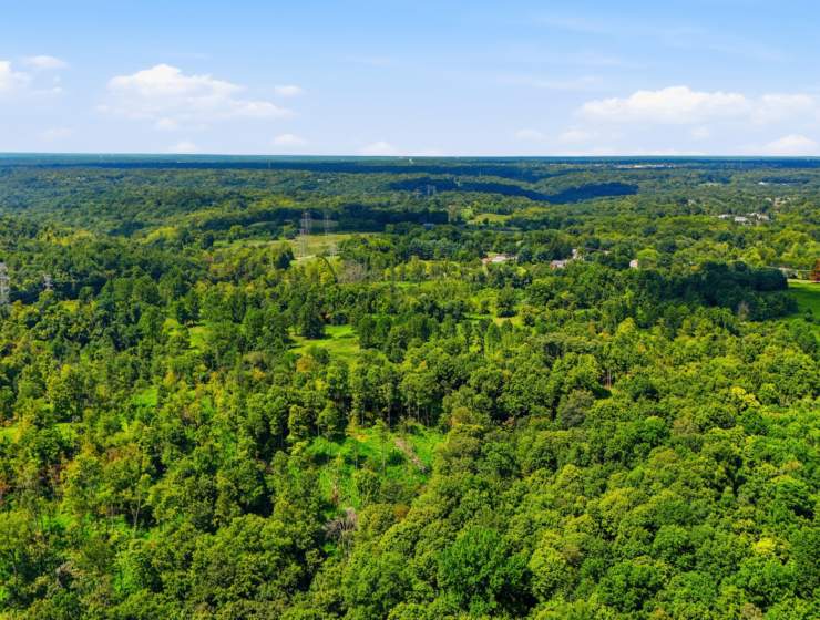 Land Auction! 76 Acres in Cincinnati, OH