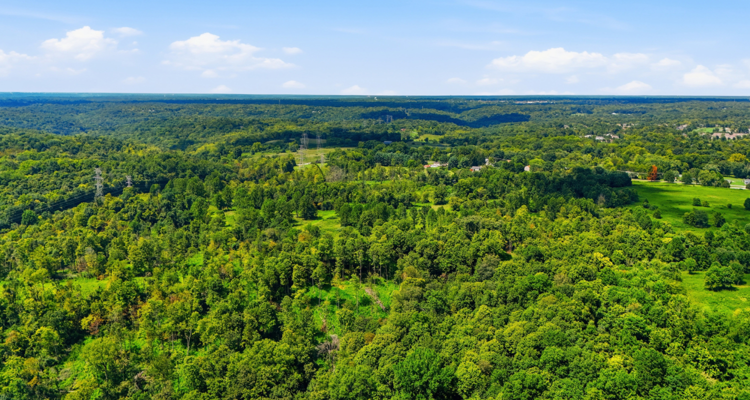 Land Auction! 76 Acres in Cincinnati, OH