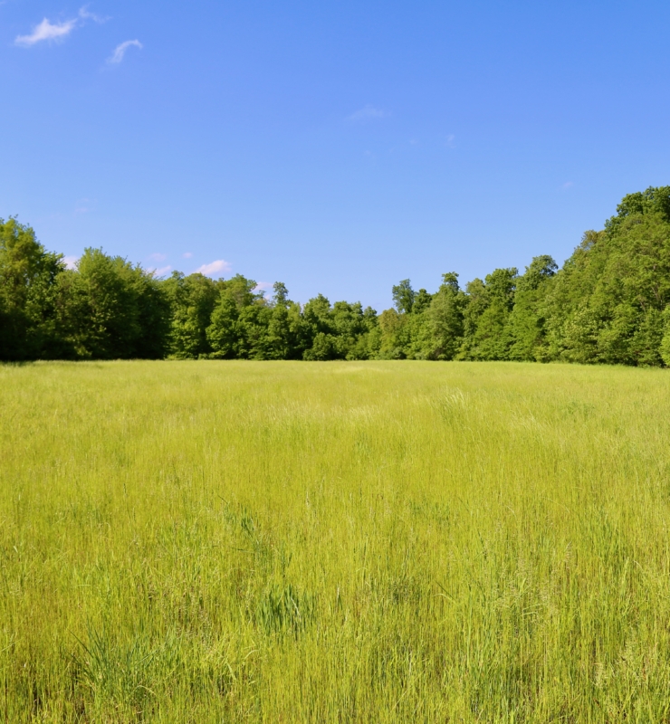 1131 St Route 22 - Maineville, OH