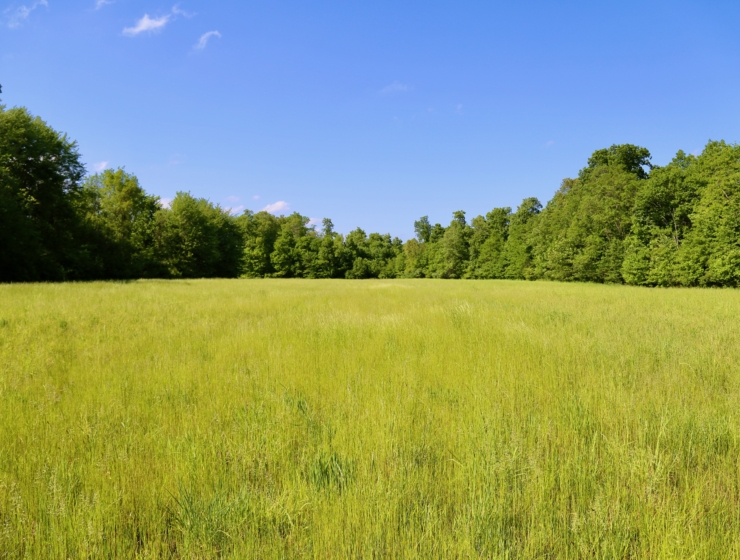 43.2 Premium Acres in Maineville OH with Incredible Development Potential