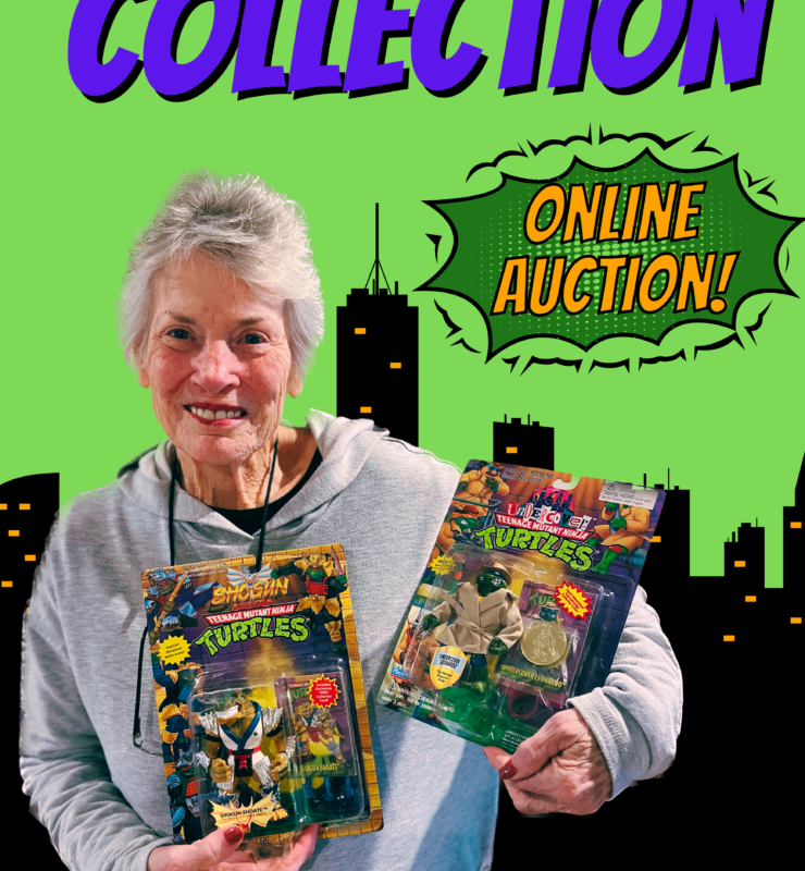 Diane Lewis Collection - Rare Teenage Mutant Ninja Turtles
